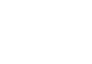Česko německý fond budounosti